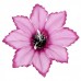Штучні квіти букет зірочка темне око, 34см